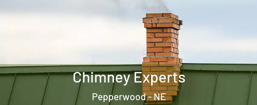 Chimney Experts Pepperwood - NE