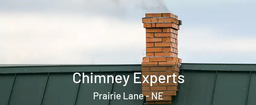 Chimney Experts Prairie Lane - NE