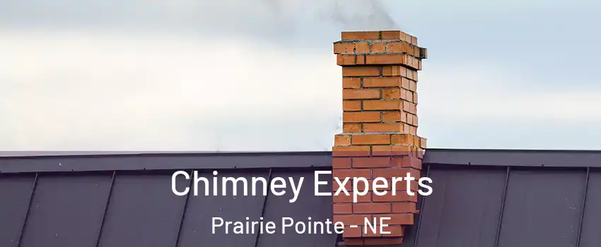 Chimney Experts Prairie Pointe - NE
