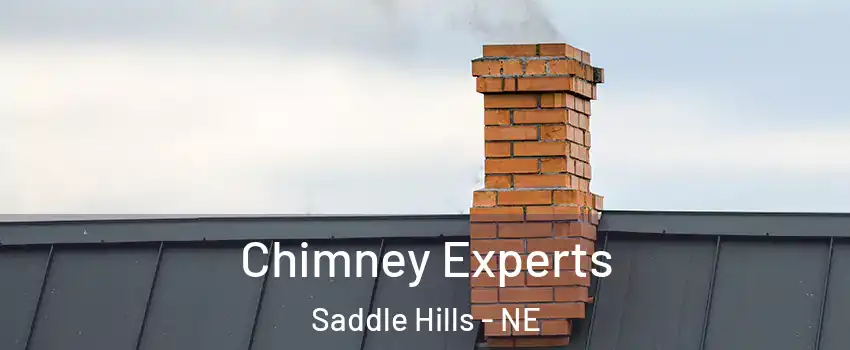 Chimney Experts Saddle Hills - NE