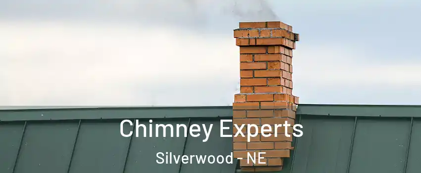 Chimney Experts Silverwood - NE