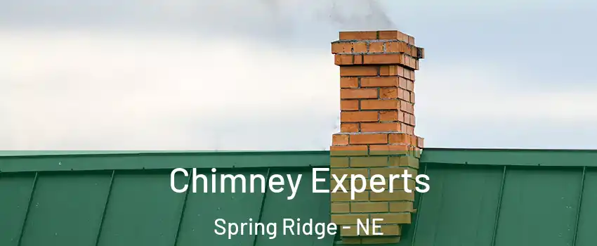 Chimney Experts Spring Ridge - NE