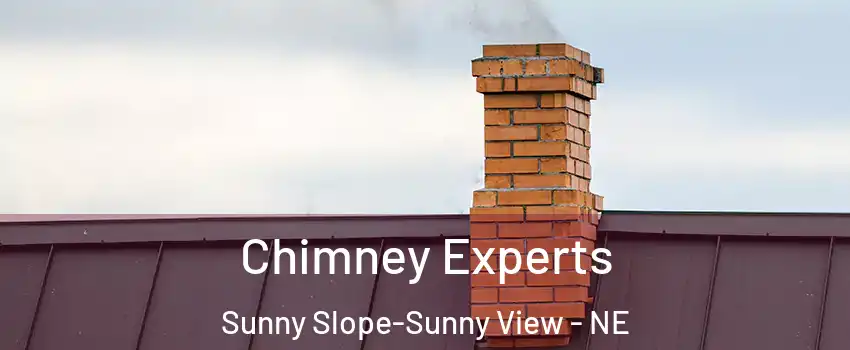 Chimney Experts Sunny Slope-Sunny View - NE