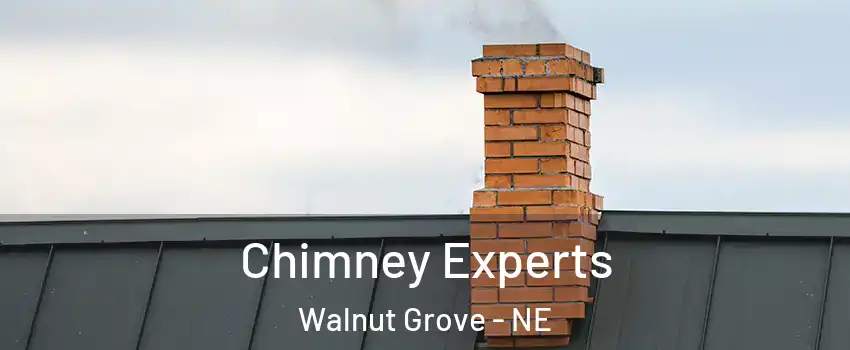 Chimney Experts Walnut Grove - NE