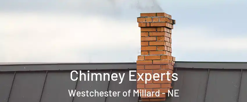 Chimney Experts Westchester of Millard - NE