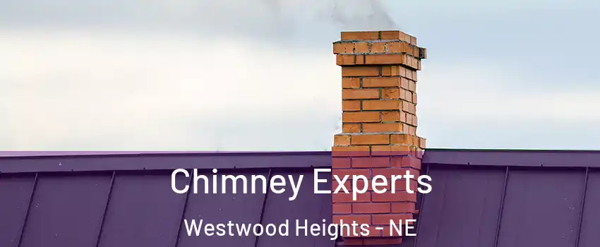 Chimney Experts Westwood Heights - NE