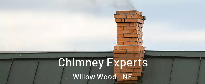 Chimney Experts Willow Wood - NE