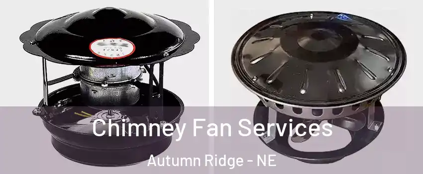 Chimney Fan Services Autumn Ridge - NE