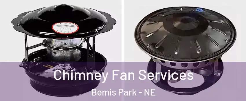 Chimney Fan Services Bemis Park - NE