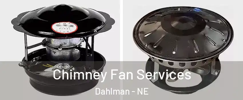 Chimney Fan Services Dahlman - NE