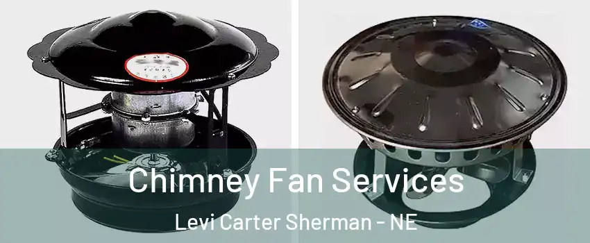 Chimney Fan Services Levi Carter Sherman - NE