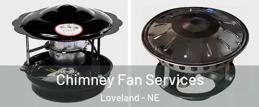 Chimney Fan Services Loveland - NE