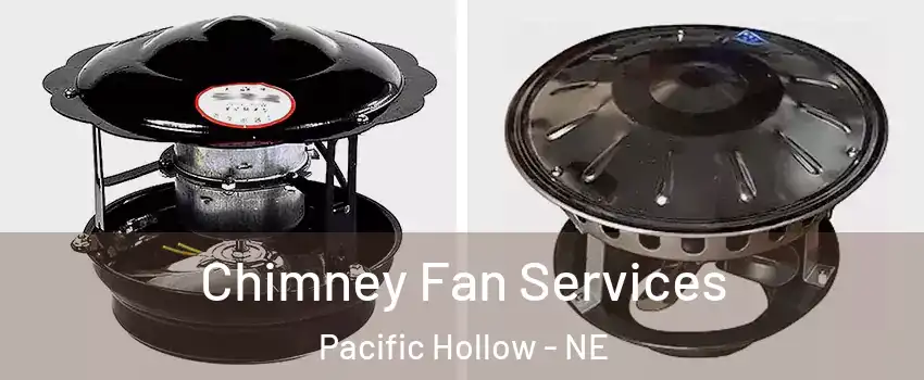 Chimney Fan Services Pacific Hollow - NE