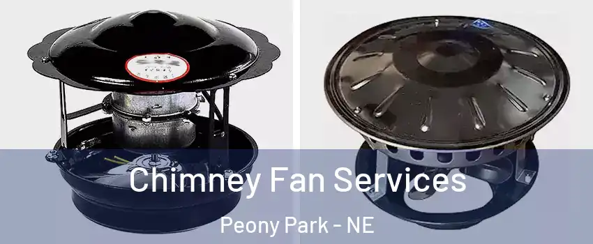 Chimney Fan Services Peony Park - NE
