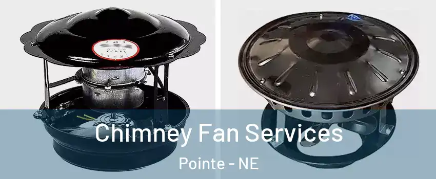 Chimney Fan Services Pointe - NE