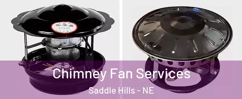 Chimney Fan Services Saddle Hills - NE