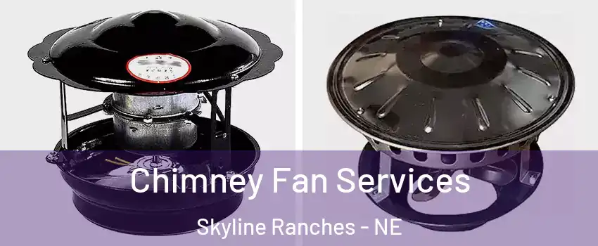 Chimney Fan Services Skyline Ranches - NE
