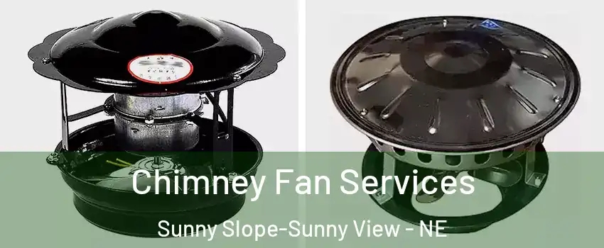 Chimney Fan Services Sunny Slope-Sunny View - NE