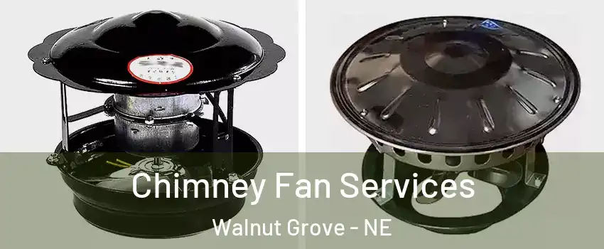 Chimney Fan Services Walnut Grove - NE