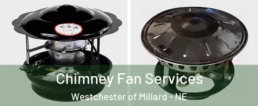 Chimney Fan Services Westchester of Millard - NE