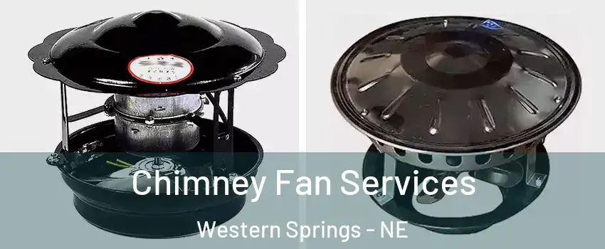 Chimney Fan Services Western Springs - NE