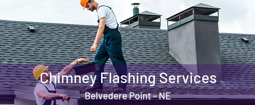 Chimney Flashing Services Belvedere Point - NE