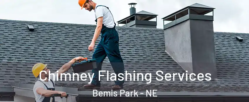 Chimney Flashing Services Bemis Park - NE