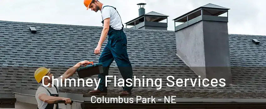 Chimney Flashing Services Columbus Park - NE