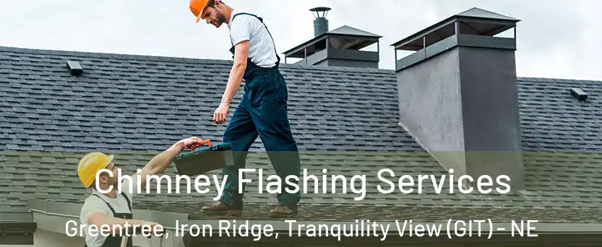 Chimney Flashing Services Greentree, Iron Ridge, Tranquility View (GIT) - NE