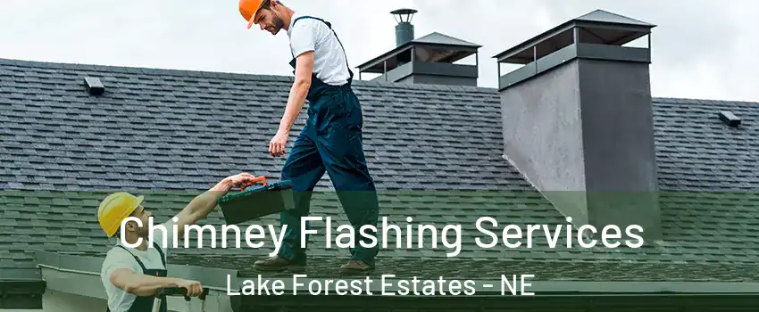 Chimney Flashing Services Lake Forest Estates - NE