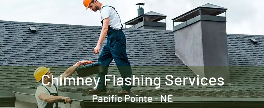 Chimney Flashing Services Pacific Pointe - NE