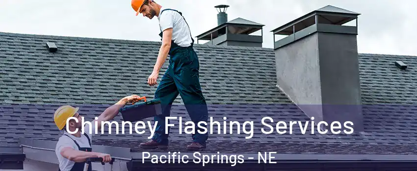 Chimney Flashing Services Pacific Springs - NE