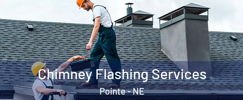 Chimney Flashing Services Pointe - NE