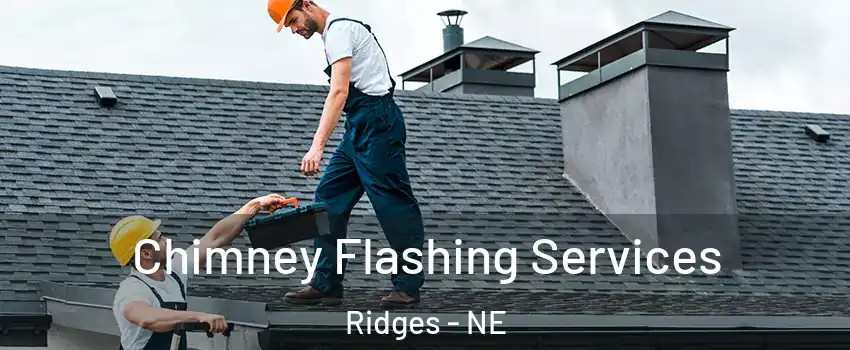 Chimney Flashing Services Ridges - NE