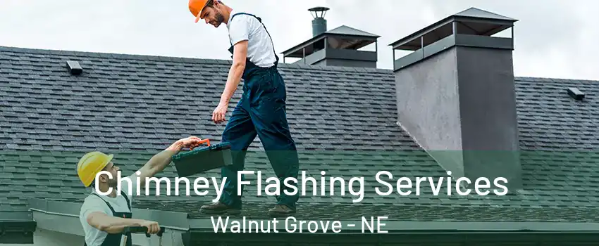Chimney Flashing Services Walnut Grove - NE