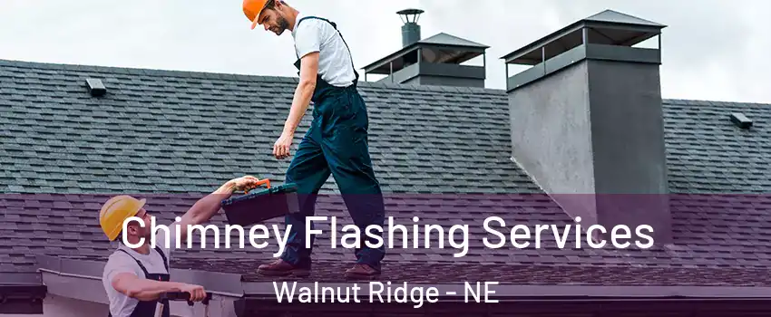 Chimney Flashing Services Walnut Ridge - NE