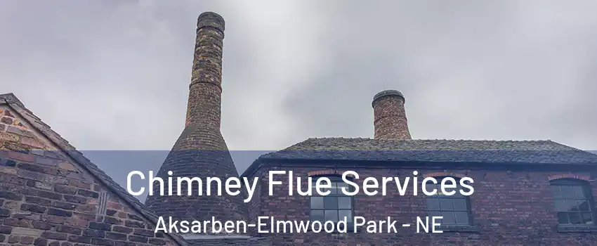 Chimney Flue Services Aksarben-Elmwood Park - NE