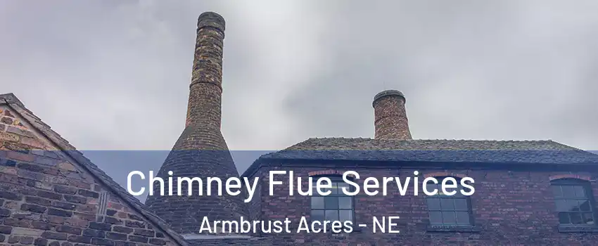 Chimney Flue Services Armbrust Acres - NE