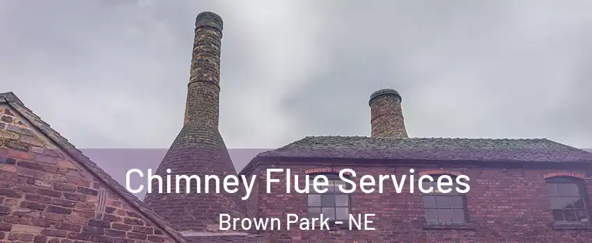 Chimney Flue Services Brown Park - NE