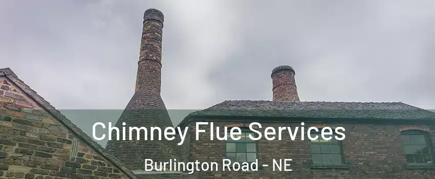 Chimney Flue Services Burlington Road - NE