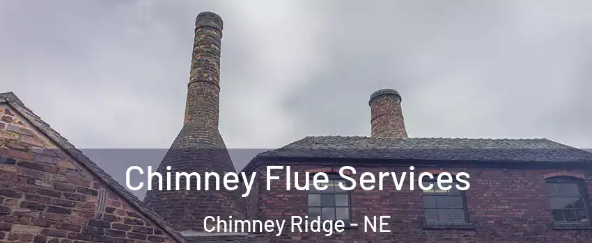 Chimney Flue Services Chimney Ridge - NE