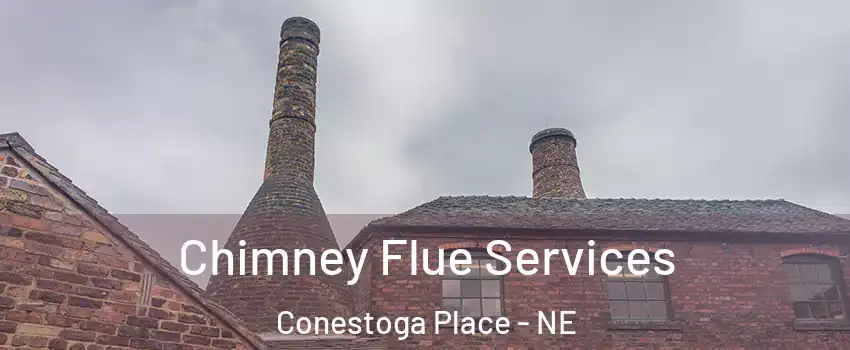 Chimney Flue Services Conestoga Place - NE