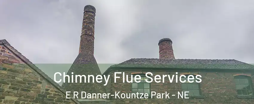 Chimney Flue Services E R Danner-Kountze Park - NE