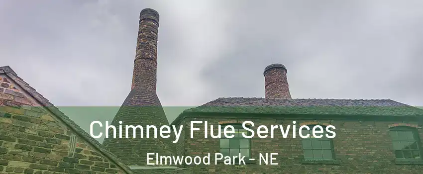 Chimney Flue Services Elmwood Park - NE