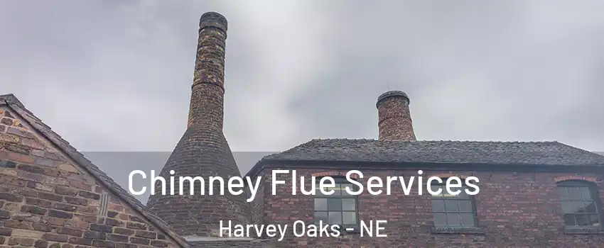 Chimney Flue Services Harvey Oaks - NE