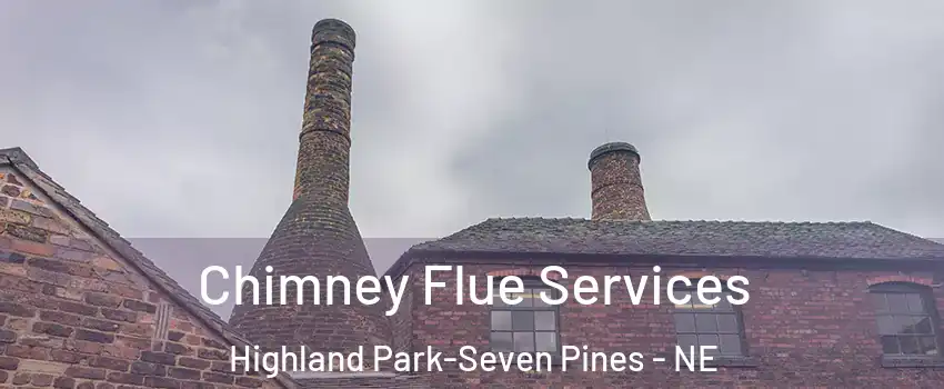Chimney Flue Services Highland Park-Seven Pines - NE