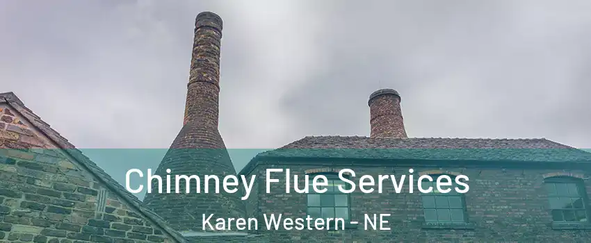 Chimney Flue Services Karen Western - NE