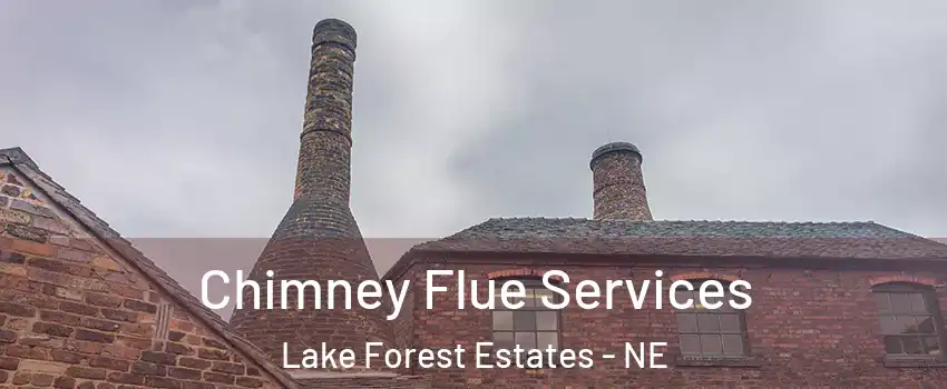 Chimney Flue Services Lake Forest Estates - NE