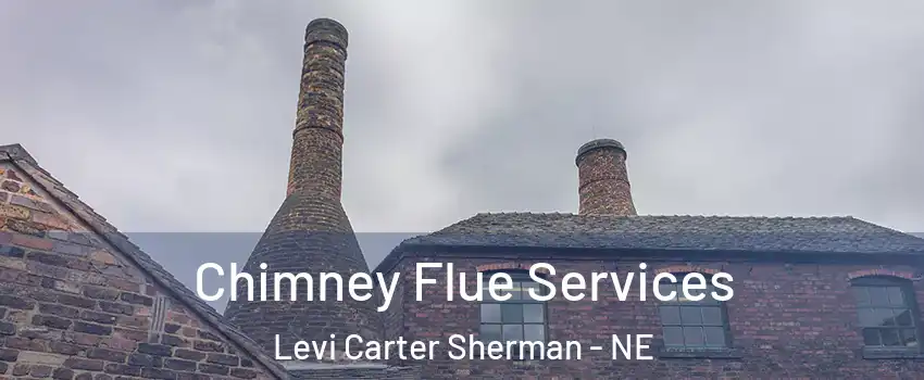 Chimney Flue Services Levi Carter Sherman - NE