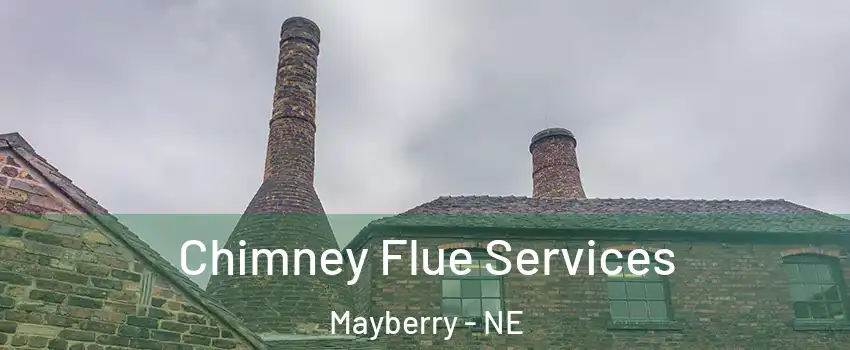 Chimney Flue Services Mayberry - NE